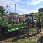 В Полтаве уничтожили амброзию в четырех новых микрорайонах благодаря современному обработке