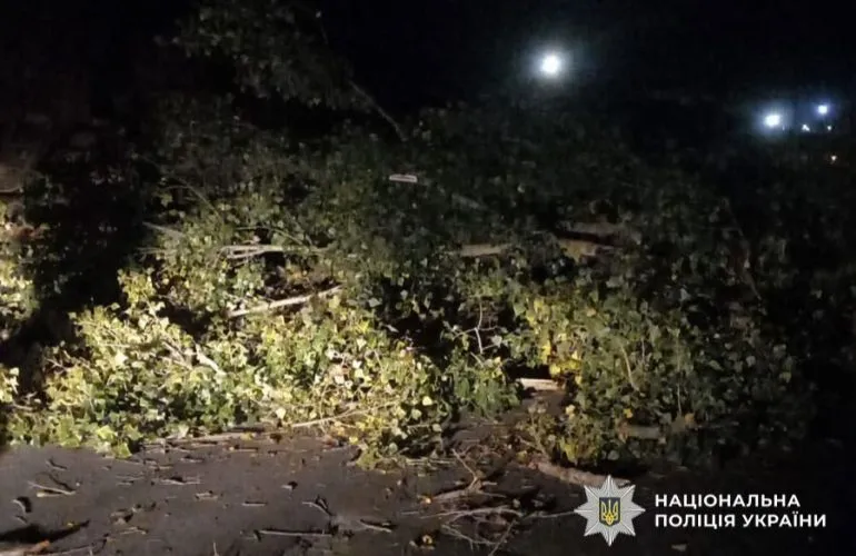 У Полтаві на автомобіль впало дерево: травмовано жінку та дитину