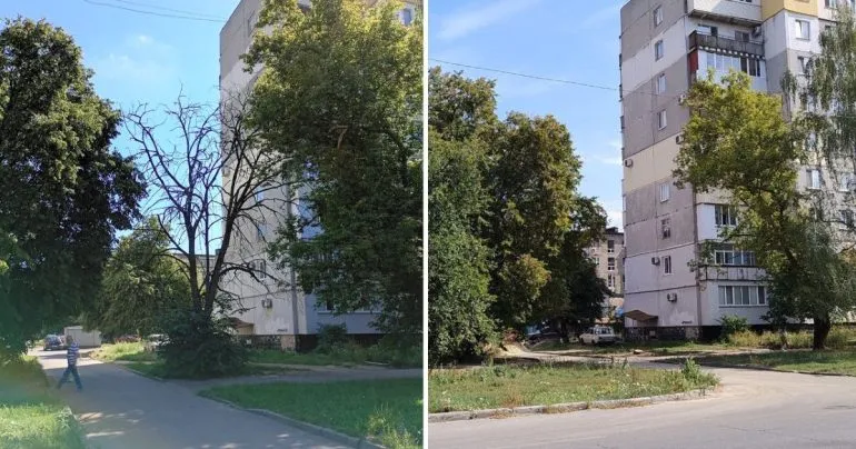 У Полтаві тривають роботи з благоустрою: новий асфальт та видалення аварійних дерев