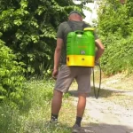 У Полтаві залишилося запасів препарату проти амброзії лише до 17 вересня