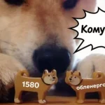 В Полтаве депутаты обязали службу 1580 и «Полтаваобленерго» улучшить коммуникацию по вопросам аварий