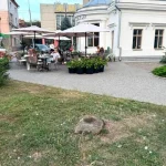 У Полтаві два роки не встановлюють винних у падінні дерева на жінку в кафе «Фотограф»