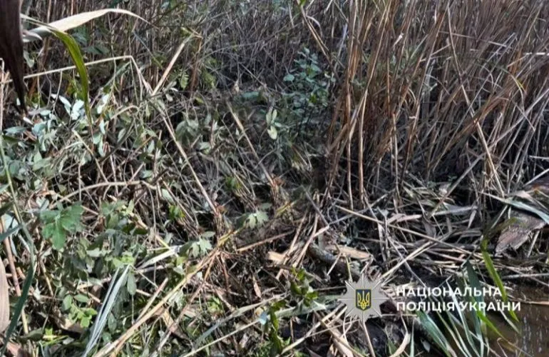 У водоймі Лохвицької громади виявили тіло чоловіка: поліція з’ясовує обставини загибелі