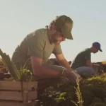 259 підприємців Полтавщини отримали мікрогранти для розвитку власного бізнесу