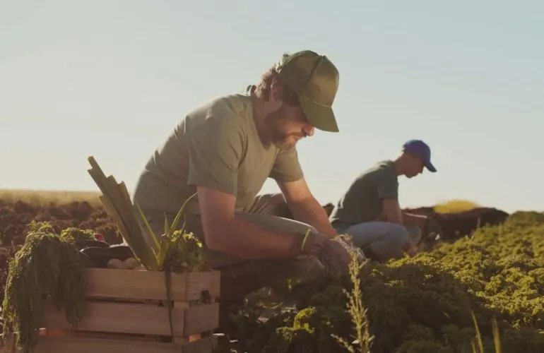 259 підприємців Полтавщини отримали мікрогранти для розвитку власного бізнесу