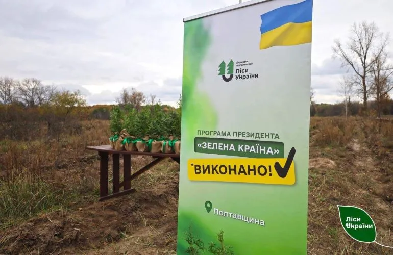 В Україні висадять мільярдне дерево в межах фінального етапу програми «Зелена країна»