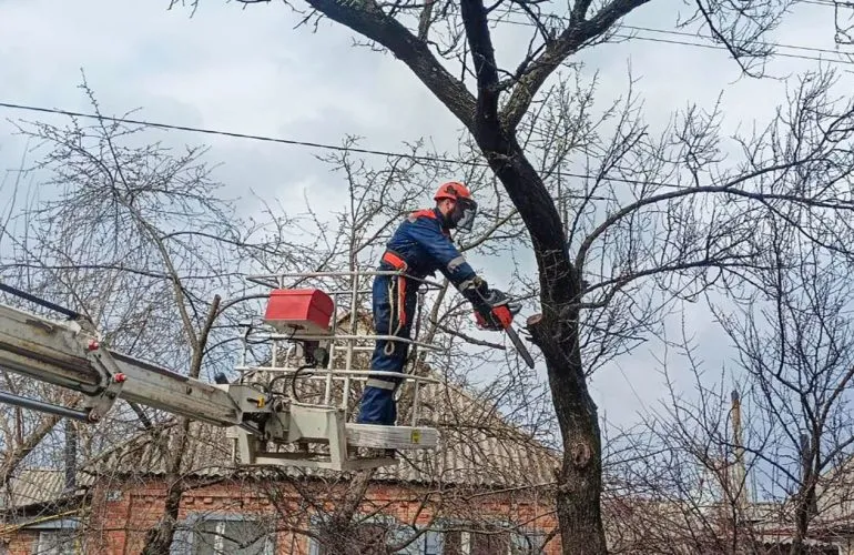Обрізка дерев вздовж ліній електропередач допомагає уникнути аварійних відключень світла