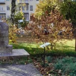 У Полтаві встановили табличку про рослини, що рятували під час Голодомору