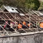 Полтавцы массово покупают цветы из разрушенных теплиц «Декоративных культур»