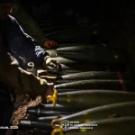 Актуальная ситуация относительно вторжения РФ в Украину по состоянию на утро 30 ноября 2025 года