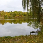 У Полтаві поліція розшукує підлітків, які напали на 11-річного хлопця в дендропарку