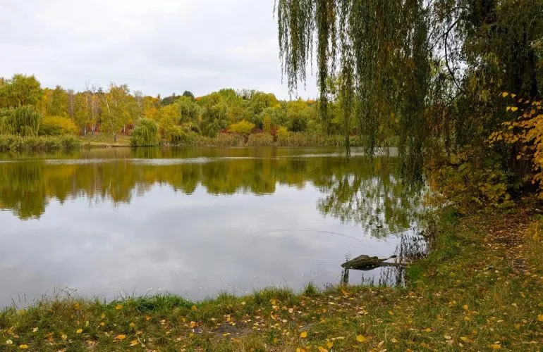У Полтаві поліція розшукує підлітків, які напали на 11-річного хлопця в дендропарку
