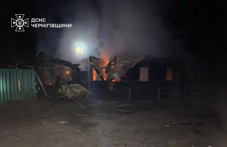 Масштабна нічна атака: росія застосувала 79 дронів і 2 балістичні ракети по Україні