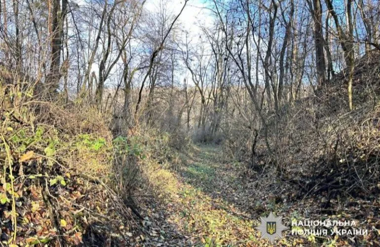 В лесу Лубенской громады нашли тело пропавшей 82-летней женщины