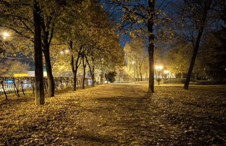 В Полтаве асфальтируют внутреннее кольцо Корпусного парка за 9,7 млн грн: детали тендера