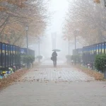 Прогноз погоды в Полтаве: на следующей неделе температура снизится до +9°C