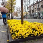 Прогноз погоды в Полтаве: дожди, мокрый снег и сильный ветер на следующей неделе