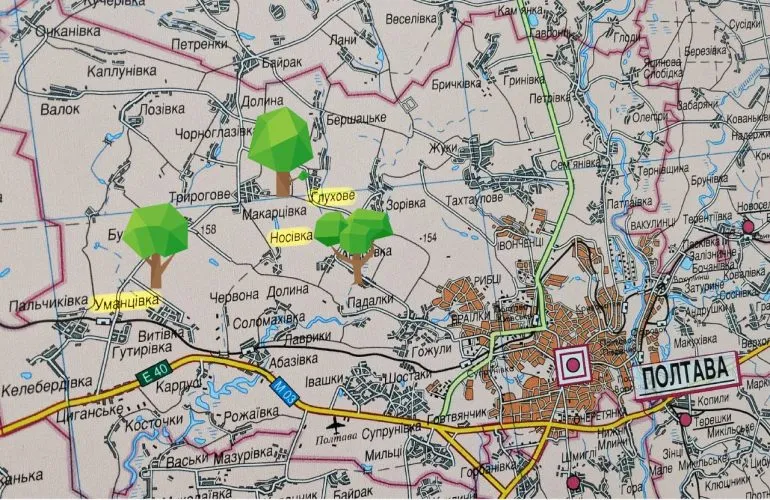 Полтавский горсовет отказал в передаче более 200 га леса государственному лесхозу