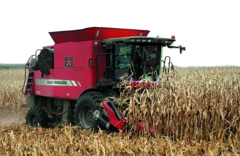 На Полтавщині завершується збирання врожаю зернових: зібрано понад 4,1 млн тонн На Полтавщині завершується збирання врожаю зернових: зібрано понад 4,1 млн тонн