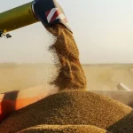 ВАКС засудив чотирьох осіб за незаконний продаж зерна на Полтавщині: серед них ексдепутат облради