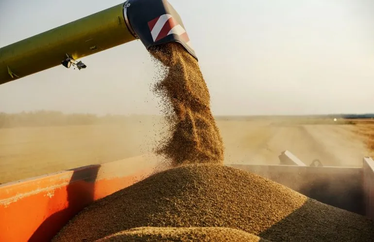 ВАКС засудив чотирьох осіб за незаконний продаж зерна на Полтавщині: серед них ексдепутат облради