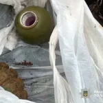 У Кременчуці біля гаражного кооперативу виявили пакет з бойовими гранатами