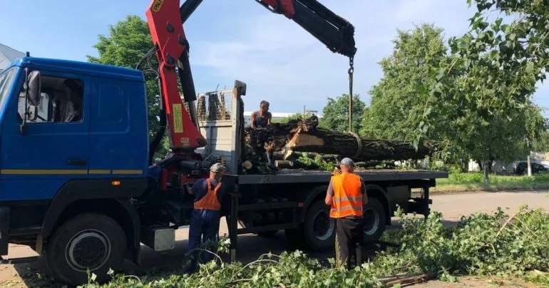Полтавські комунальники придбають сучасне обладнання для видалення пнів і подрібнення деревини