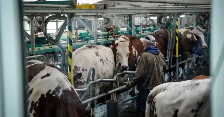 Бюджет Полтавської області на 2026 рік: ключові показники та пріоритети