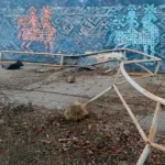 Поліція затримала водія, який пошкодив мурал «Думка про волю» під час ДТП