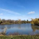 Полтавська міськрада пропонує в оренду три ставки в мікрорайоні Рибці на 5 років