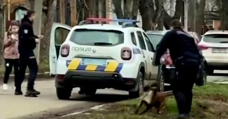 У Полтаві розшукують чоловіка, який під час конфлікту нацькував собаку на поліцейських