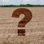 Прокуратура расследует незаконное использование более 40 гектаров земли на окраине Полтавы