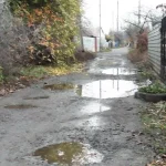 Полтавець с инвалидностью требует ремонта дорог и обустройства перехода в Лиске