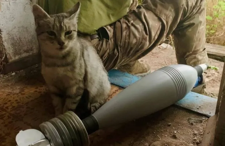 Оперативна інформація станом на 08:00 03.12.2025 щодо російського вторгнення