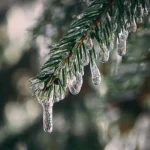 У Полтаві на початку тижня очікують мокрий сніг і морози до -5°C