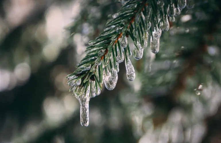 В Полтаве в начале недели ожидаются мокрый снег и морозы до -5°C