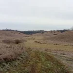 Полтавська область повернула державі та громадам 157 га заповідних земель у 2025 році