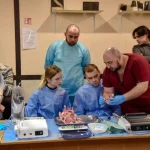 Студенти ПДМУ опановують кісткову пластику в стоматології