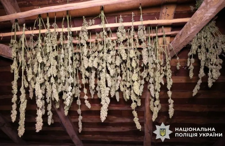 В Полтавской области будут судить наркогруппу из Зенькова с доходом более 1,5 млн грн в месяц