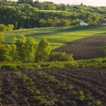 Полтавский горсовет не поддержал земельные решения — фермеры видят коррупционные риски