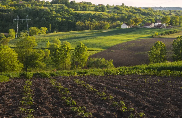 Полтавский горсовет не поддержал земельные решения — фермеры видят коррупционные риски