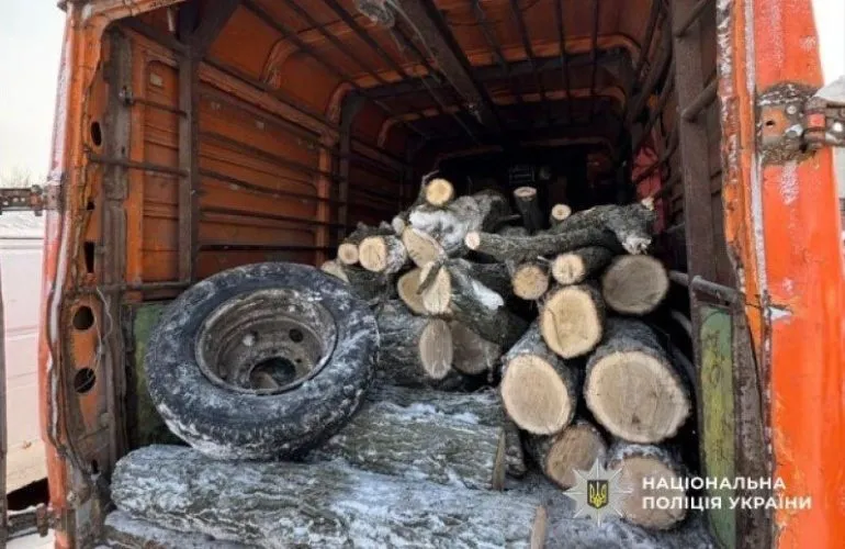На Полтавщині затримали групу незаконних лісорубів, які завдали збитків на мільйон гривень