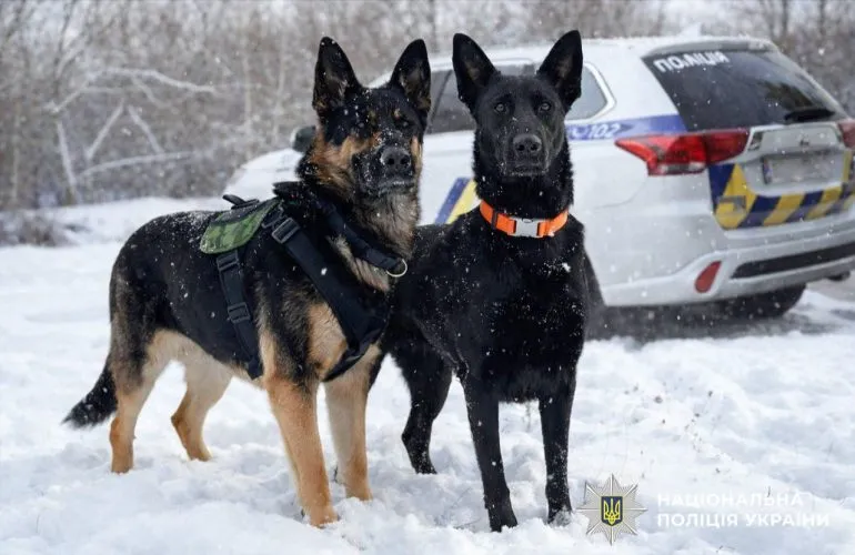 Службові собаки допомогли поліції Полтавщини оперативно розкрити крадіжку