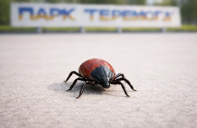 В Полтаве предлагают сезонную обработку парков от клещей