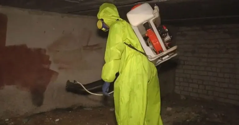 «Клінінг Ідеал» знову без конкуренції оброблятиме підвали будинків Полтави у 2026 році