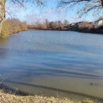 У Полтаві не вдалося здати в оренду шість міських ставків через брак інтересу