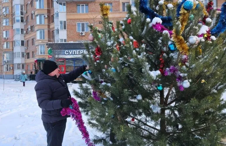 Народные ёлки Полтавы стали помощью для животных и сохранением традиций