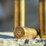 Колишній військовий оштрафований за зберігання гранати та 764 патронів