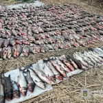 Браконьєри в Сулинському заказнику завдали збитків на майже 4,4 млн грн