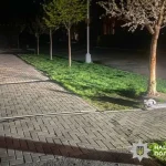 У центрі Полтави 20‑річний на електросамокаті збив жінку
